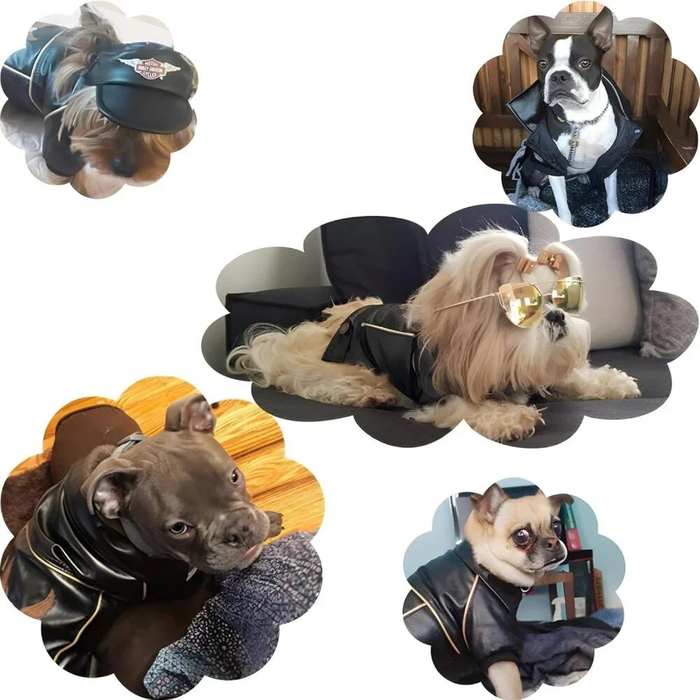 Dog Winter Coat Pu Leather Motorcycle Jacket